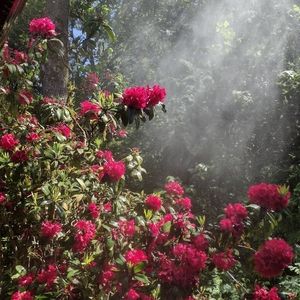 Meet your Posher, Henry